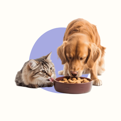 Voer- en Drinkbakken