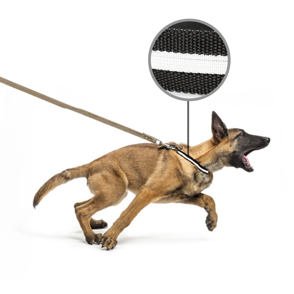 Lichtgevende halsband