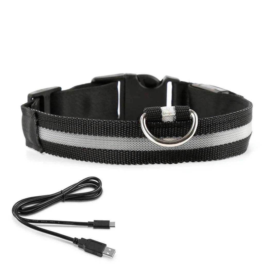 Lichtgevende halsband